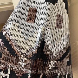 Express Sequin Patterned Skirt